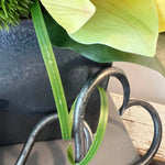 Cymbidium Orchids with Dianthus in a Pewter Stone Cube (Yellow) RTfact Flowers 