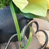 Cymbidium Orchids with Dianthus in a Pewter Stone Cube (Yellow) RTfact Flowers 