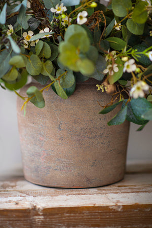 Eucalyptus, Wax Flower and Twig in a Sand Blasted Terracotta Vase