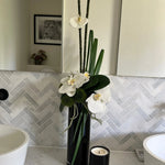 Orchid and Dianthus in Tall Black Glass Cylinder RTfact Flowers 
