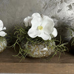 Vanda Orchid with Watergrass in a Mottled Vase RTfact Flowers 