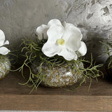 Vanda Orchid with Watergrass in a Mottled Vase RTfact Flowers 