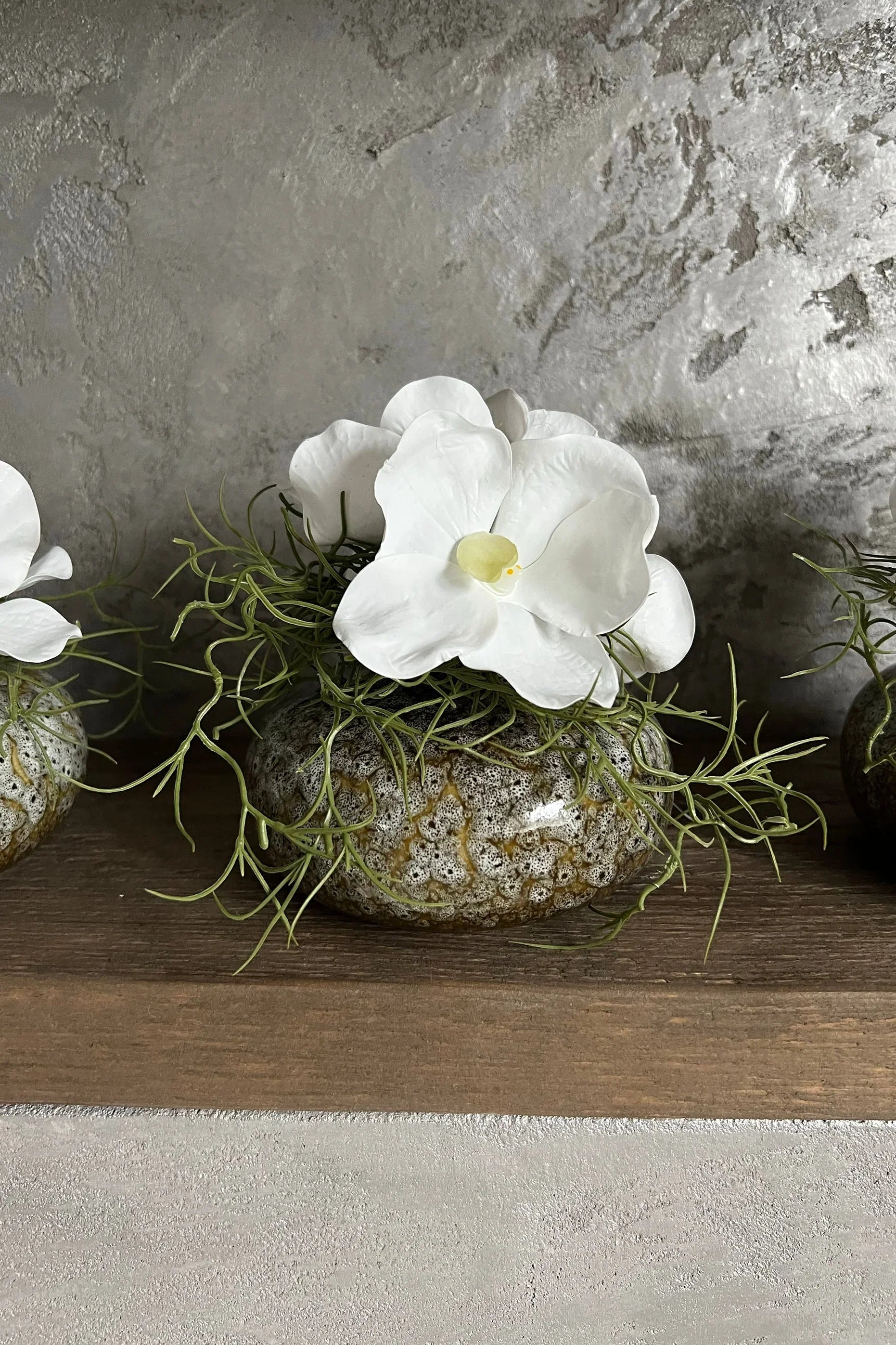 Vanda Orchid with Watergrass in a Mottled Vase RTfact Flowers 
