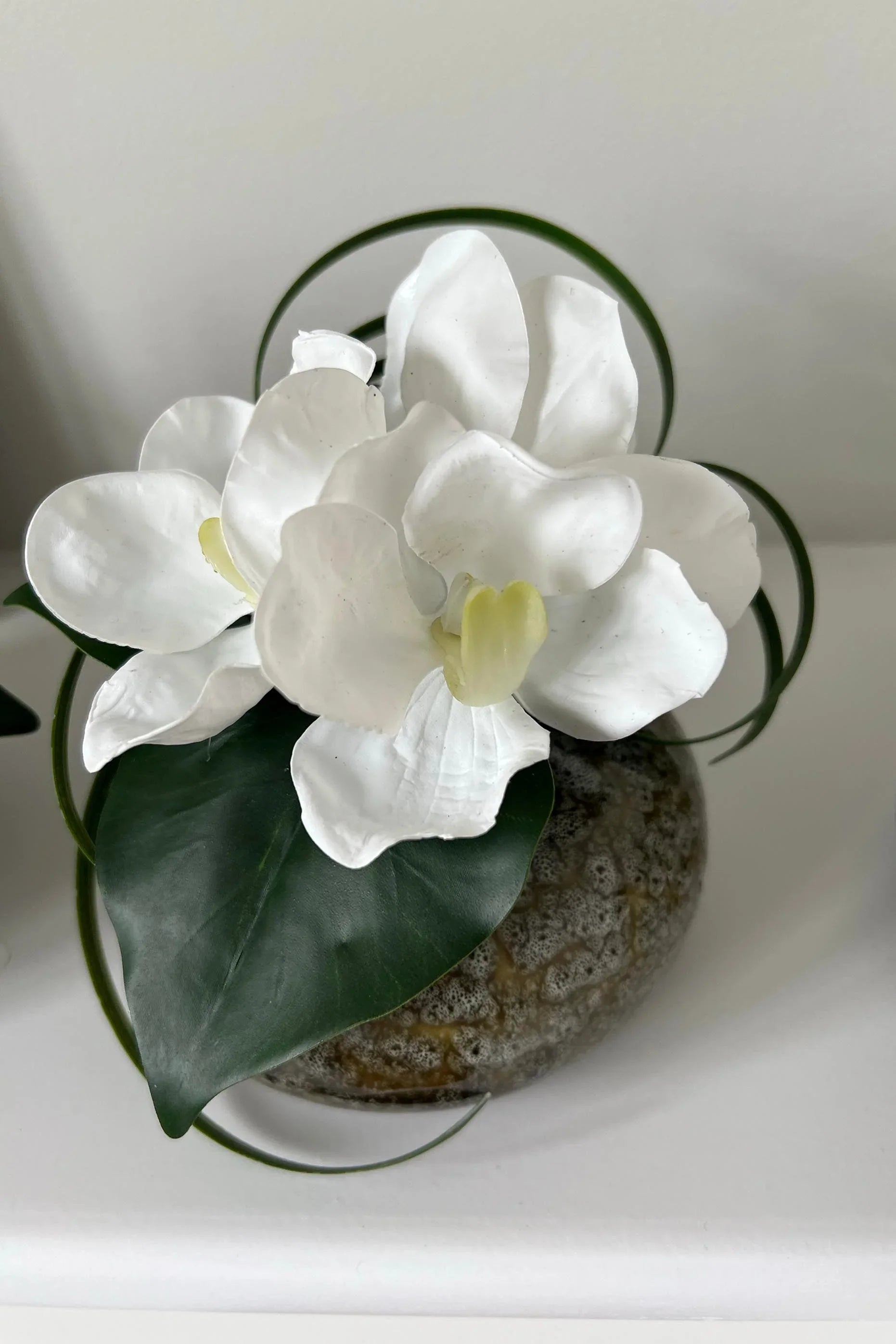 Vanda Orchid with Ivy in a Mottled Vase RTfact Flowers 