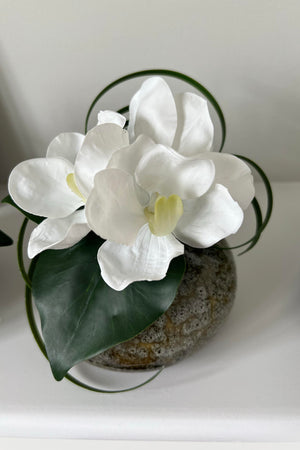 Vanda Orchid with Ivy in a Mottled Vase