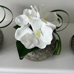 Vanda Orchid with Ivy in a Mottled Vase RTfact Flowers 