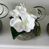 Vanda Orchid with Ivy in a Mottled Vase RTfact Flowers 