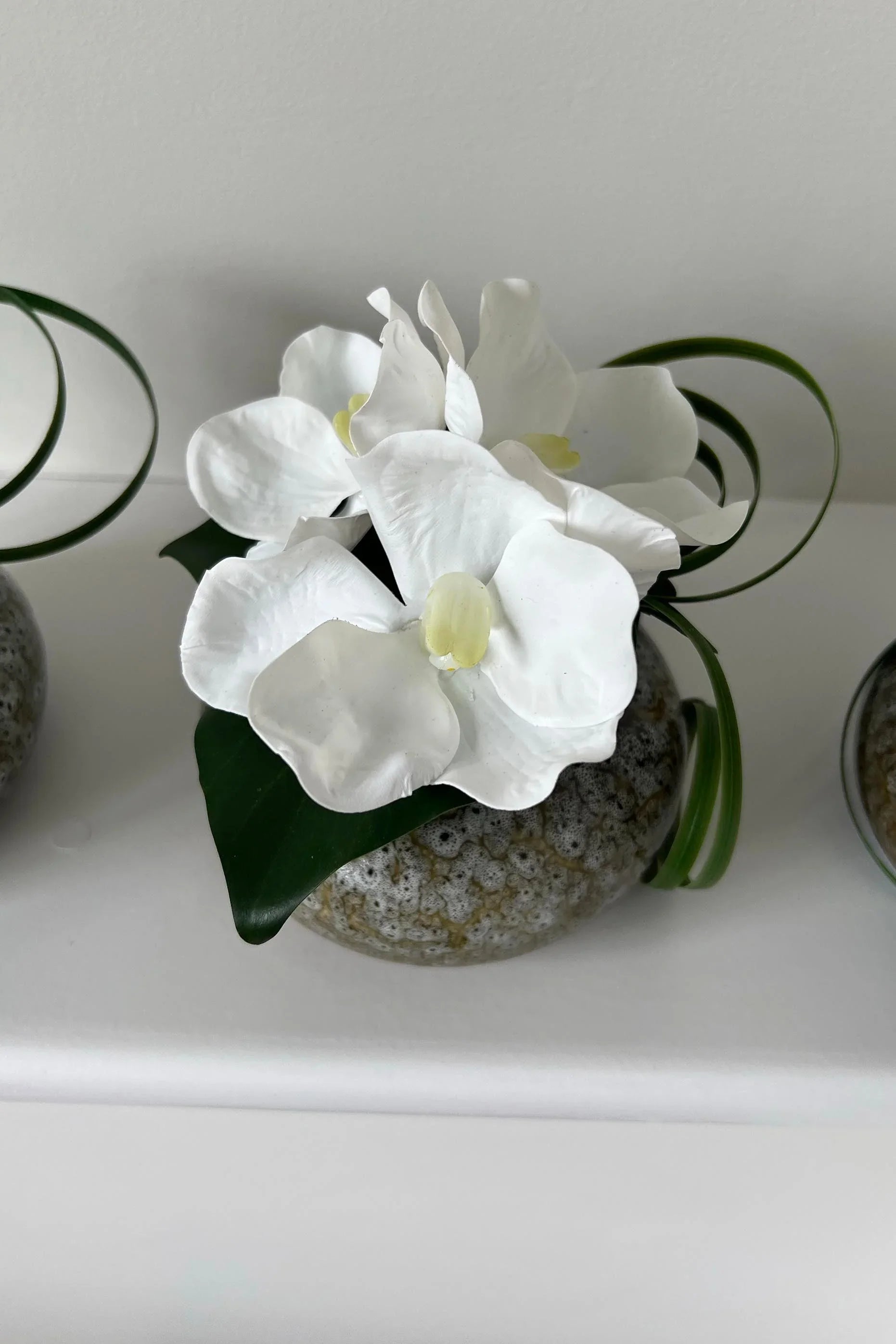 Vanda Orchid with Ivy in a Mottled Vase RTfact Flowers 