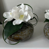 Vanda Orchid with Ivy in a Mottled Vase RTfact Flowers 