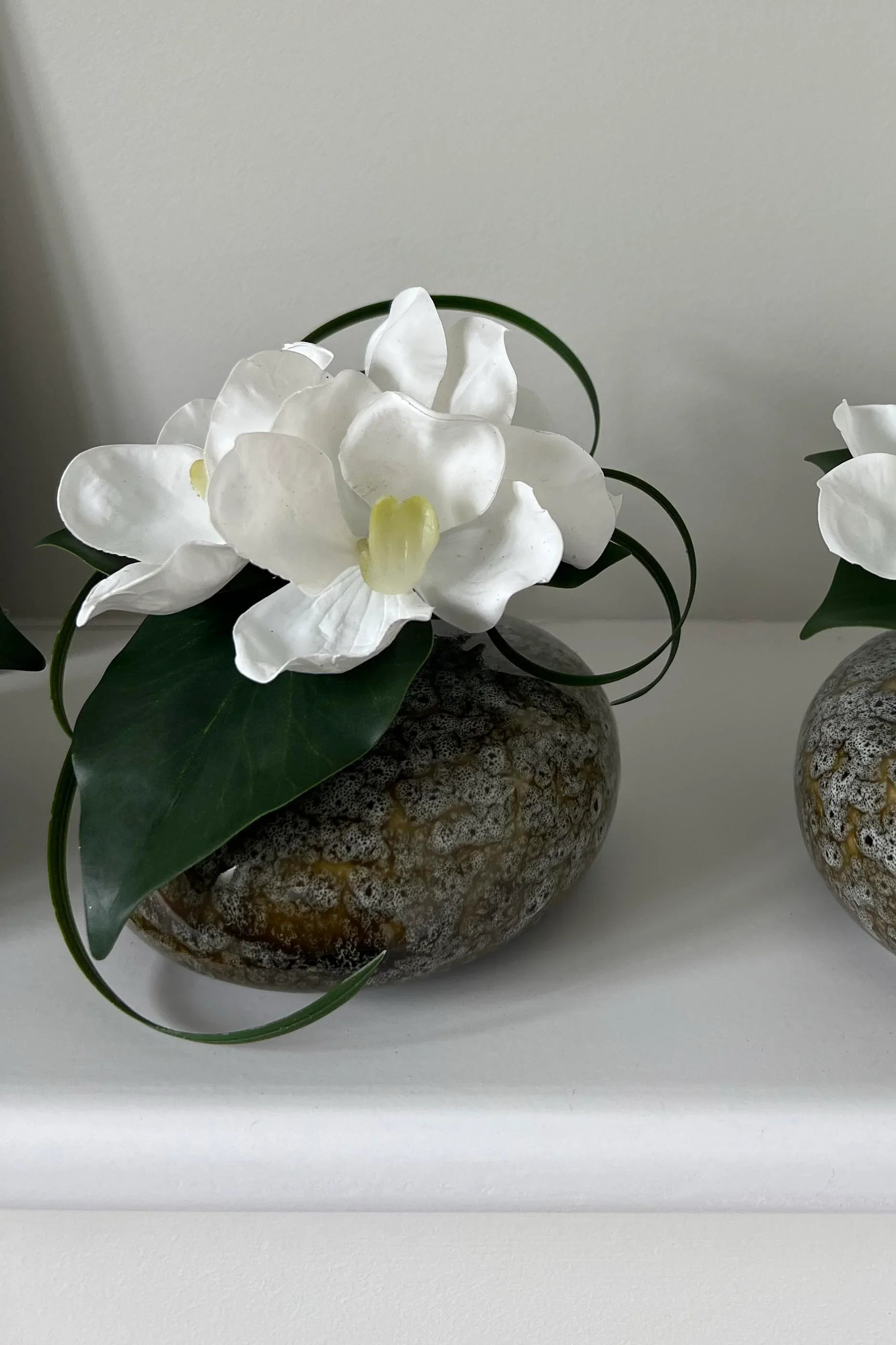 Vanda Orchid with Ivy in a Mottled Vase RTfact Flowers 