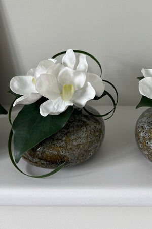 Vanda Orchid with Ivy in a Mottled Vase