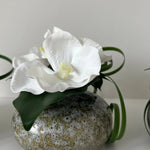 Vanda Orchid with Ivy in a Mottled Vase RTfact Flowers 