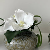 Vanda Orchid with Ivy in a Mottled Vase RTfact Flowers 