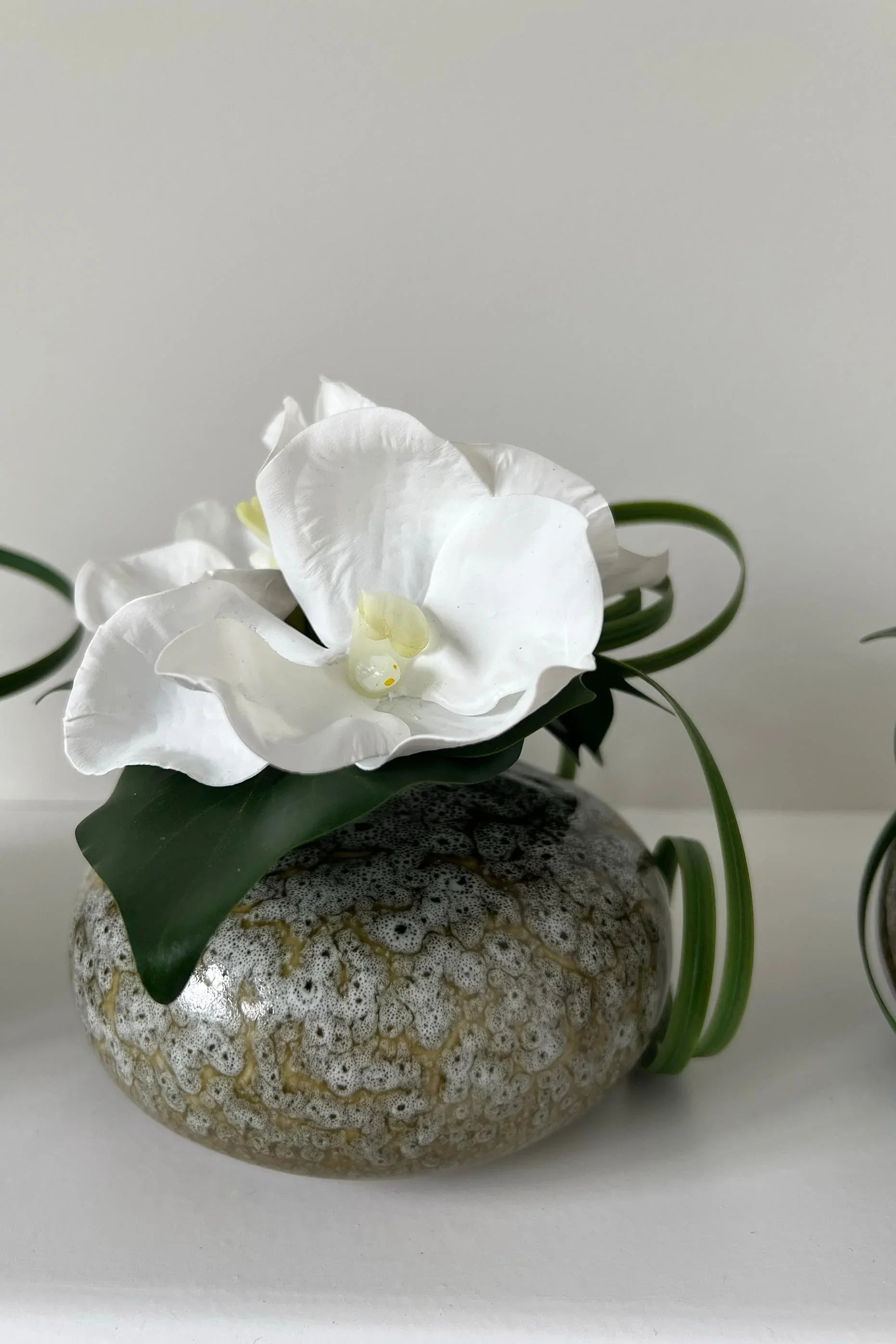 Vanda Orchid with Ivy in a Mottled Vase RTfact Flowers 