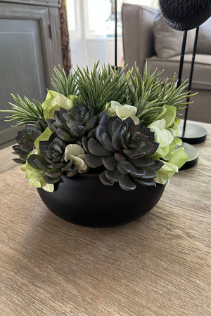 Hydrangea, Spiky Succulents and Echeveria in a Black Bamboo Bowl