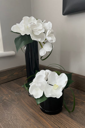 Vanda Orchids, Dianthus and Ivy in a Black Glass Cylinder