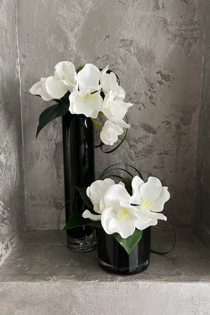 Vanda Orchids, Dianthus and Ivy in a Black Glass Cylinder