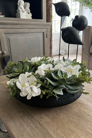 Vanda Orchids, Succulents and Watergrass in a Black Dimpled Bowl