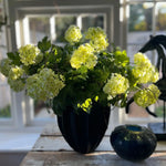 Guelder Rose and Twig in a Black Fluted Vase RTfact Flowers 