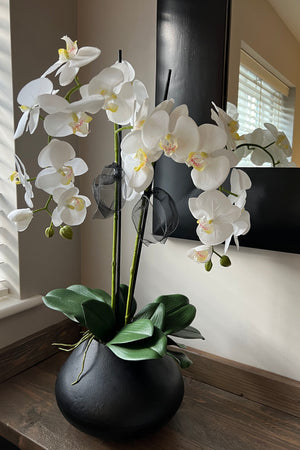 Orchids in a Black Metallic Asymmetric Vase
