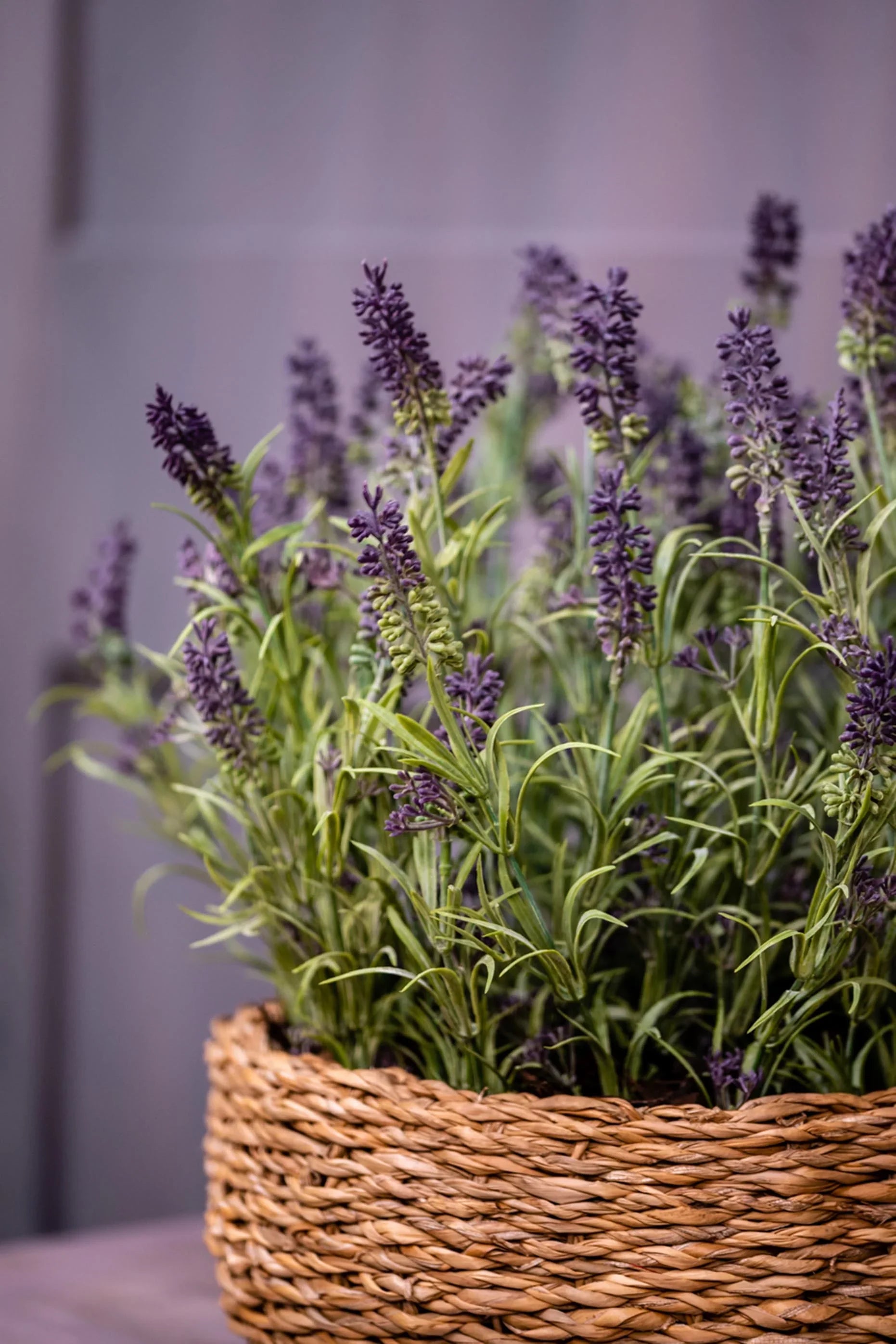 Lavender in a Basket RTfact Flowers 