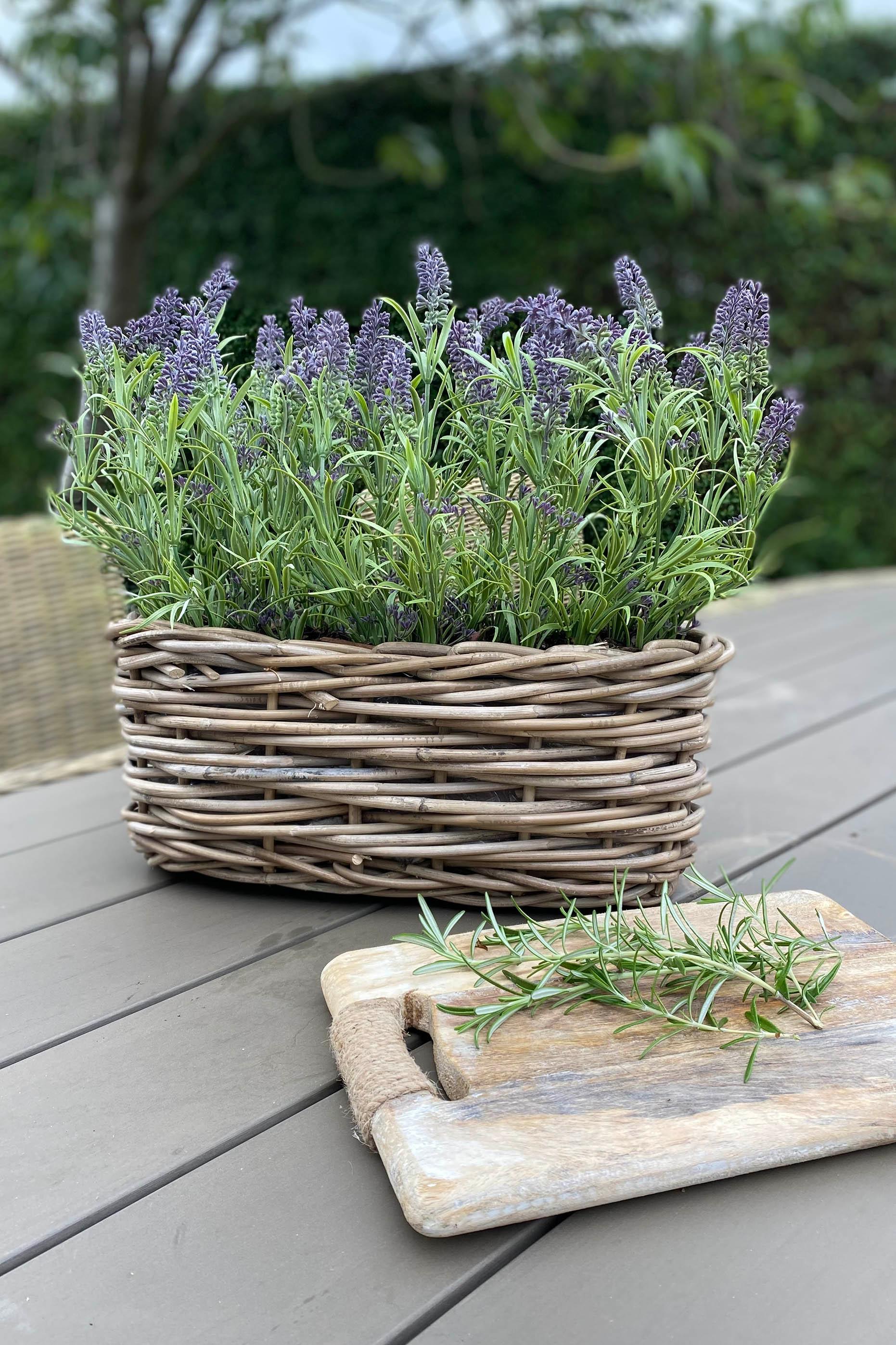 Lavender in a Basket RTfact Flowers 