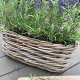Lavender in a Basket RTfact Flowers 