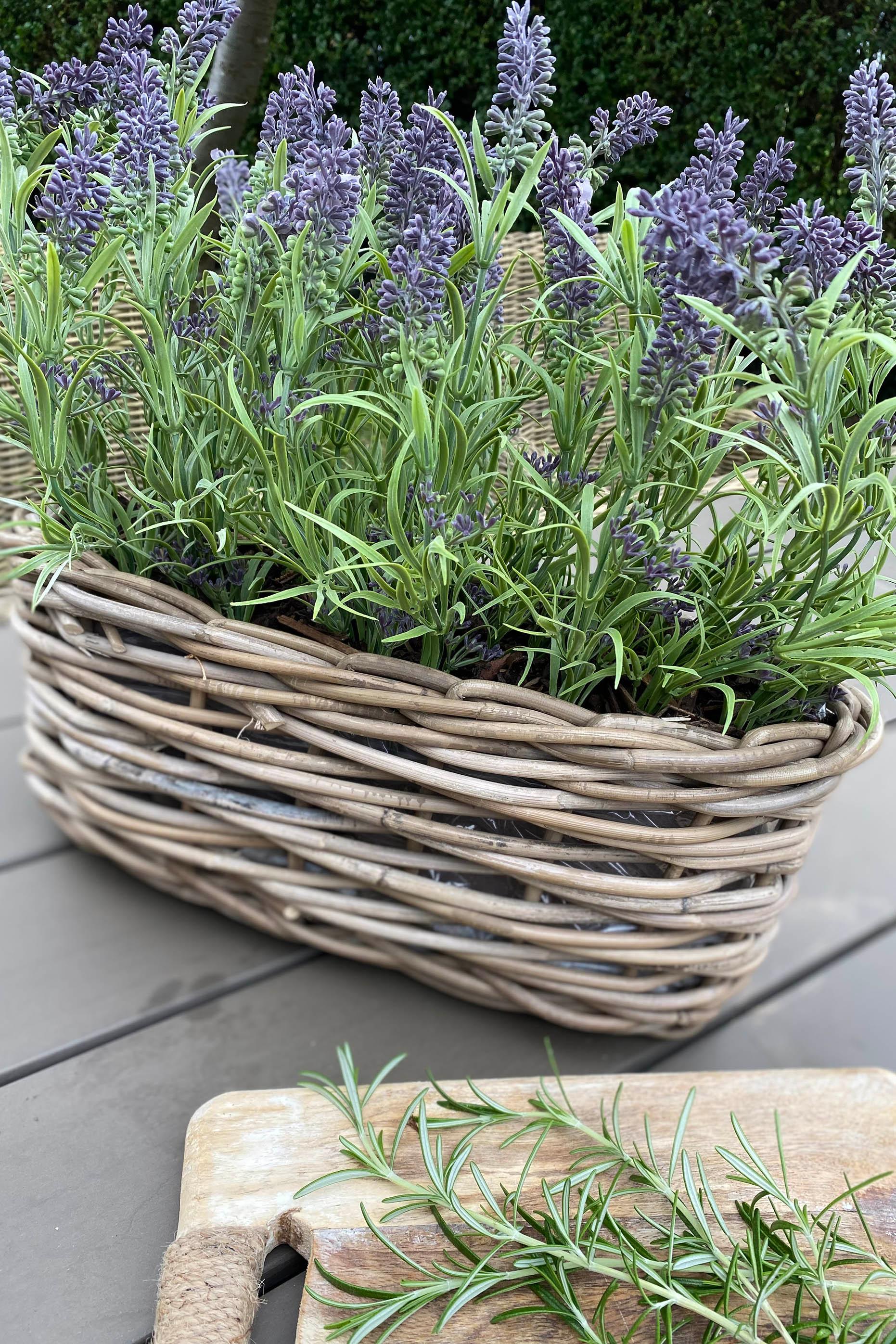 Lavender in a Basket RTfact Flowers 