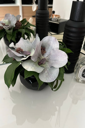 Vanda Orchid in a Black Glass Faceted Vase (Blue)