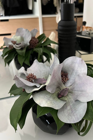 Vanda Orchid in a Black Glass Faceted Vase (Blue)
