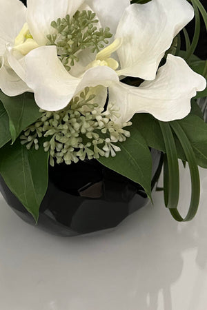 Vanda Orchid in a Black Glass Faceted Vase (White)