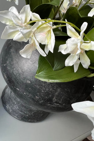 Dendrobium Orchids in a Matt black Stone Vase