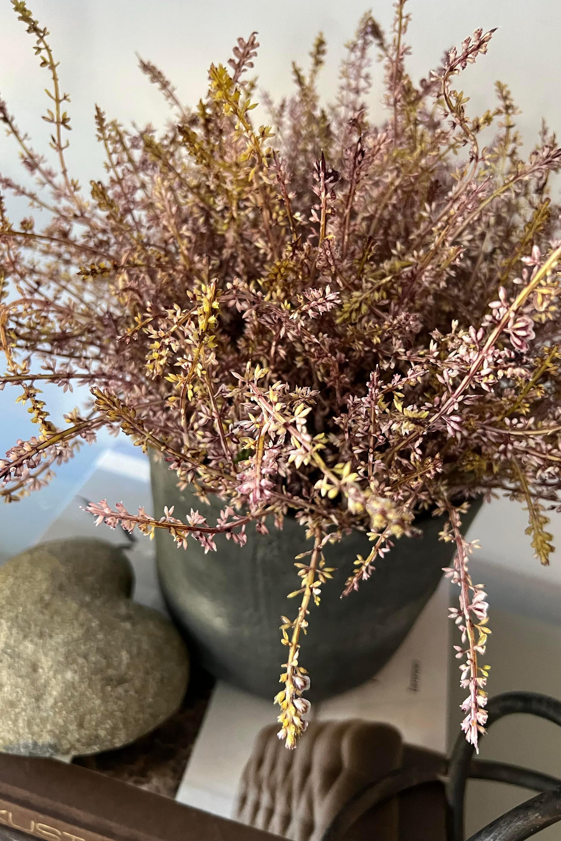 Heather in a Matt Black Stone Pot RTfact Flowers 
