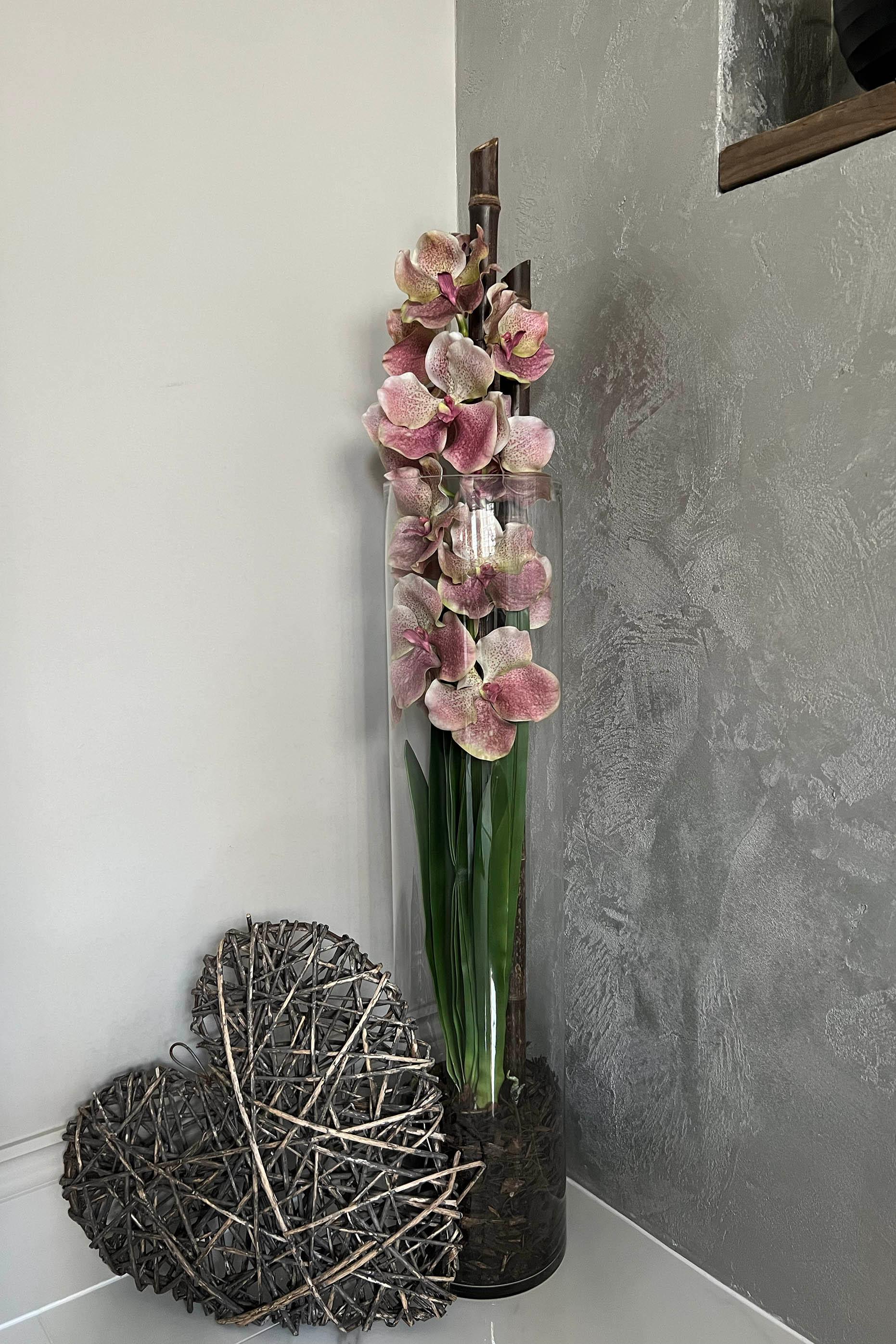 Vanda Orchid (Vintage Pink) in a Tall Glass Cylinder RTfact Flowers 