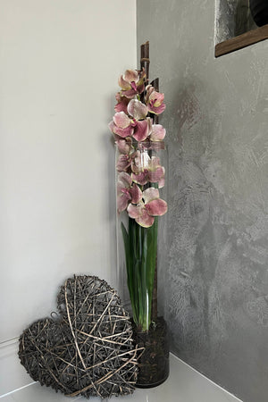 Vanda Orchid (Vintage Pink) in a Tall Glass Cylinder