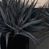 Black Grasses in a Black Glass Cube RTfact Flowers 