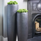 Dianthus in a Matt Black Planter RTfact Flowers 