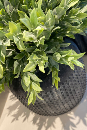 Ruscus in a Grey Stone Vase