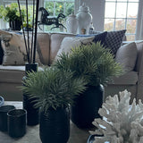Spiky Succulents in a Carved Glass Vase RTfact Flowers 