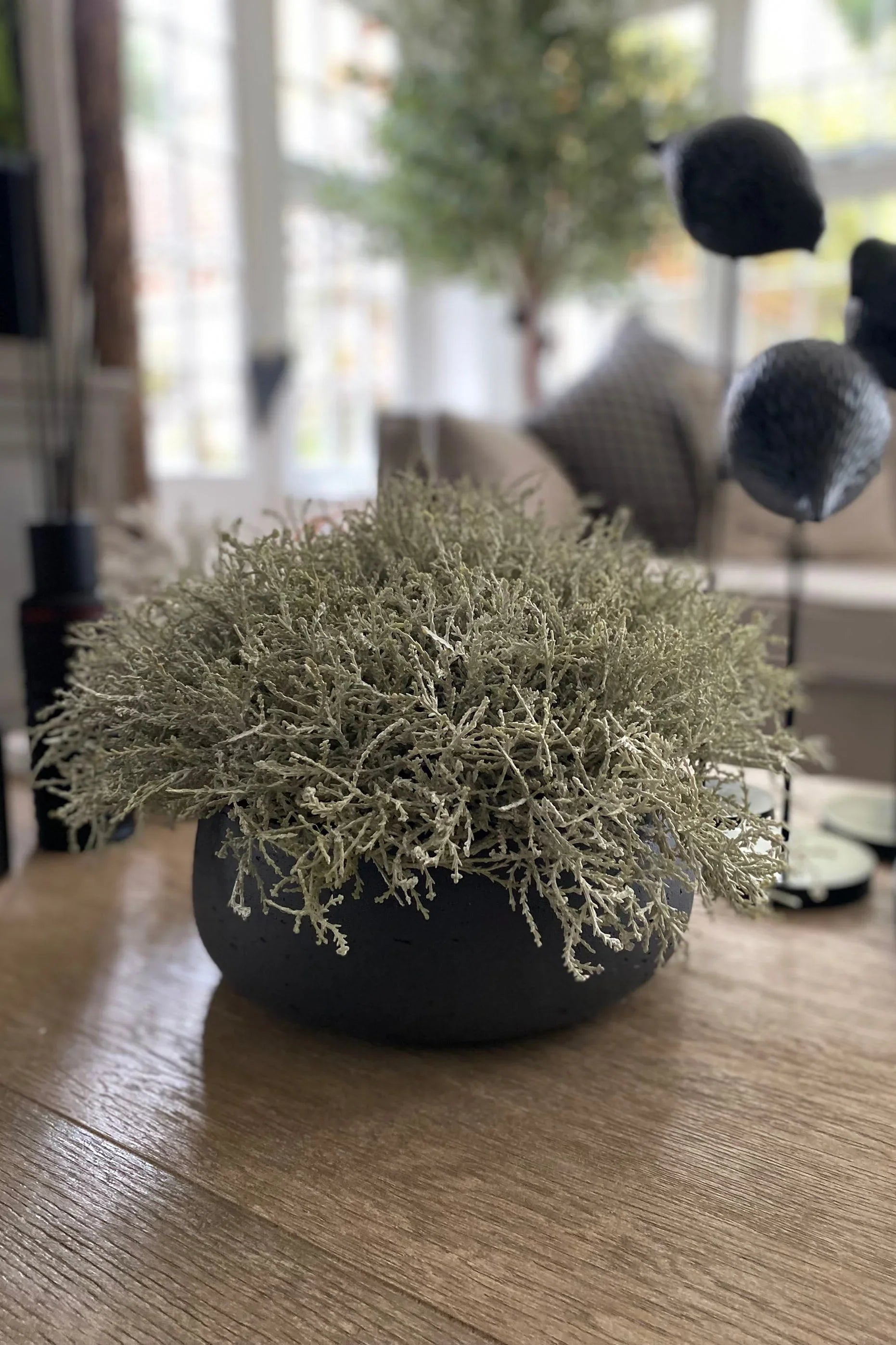 Curly Grass in a Grey Stone Bowl RTfact Flowers 