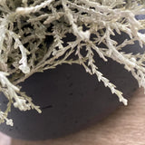 Curly Grass in a Grey Stone Bowl RTfact Flowers 