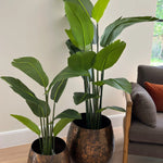 Artificial Strelitzia Plants RTfact Flowers 