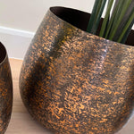Artificial Strelitzia Plants RTfact Flowers 