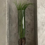Grasses in a Glass Cylinder (Large) RTfact Flowers 