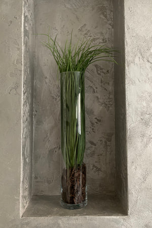 Grasses in a Glass Cylinder (Large)