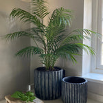 Artificial Areca Palm RTfact Flowers 