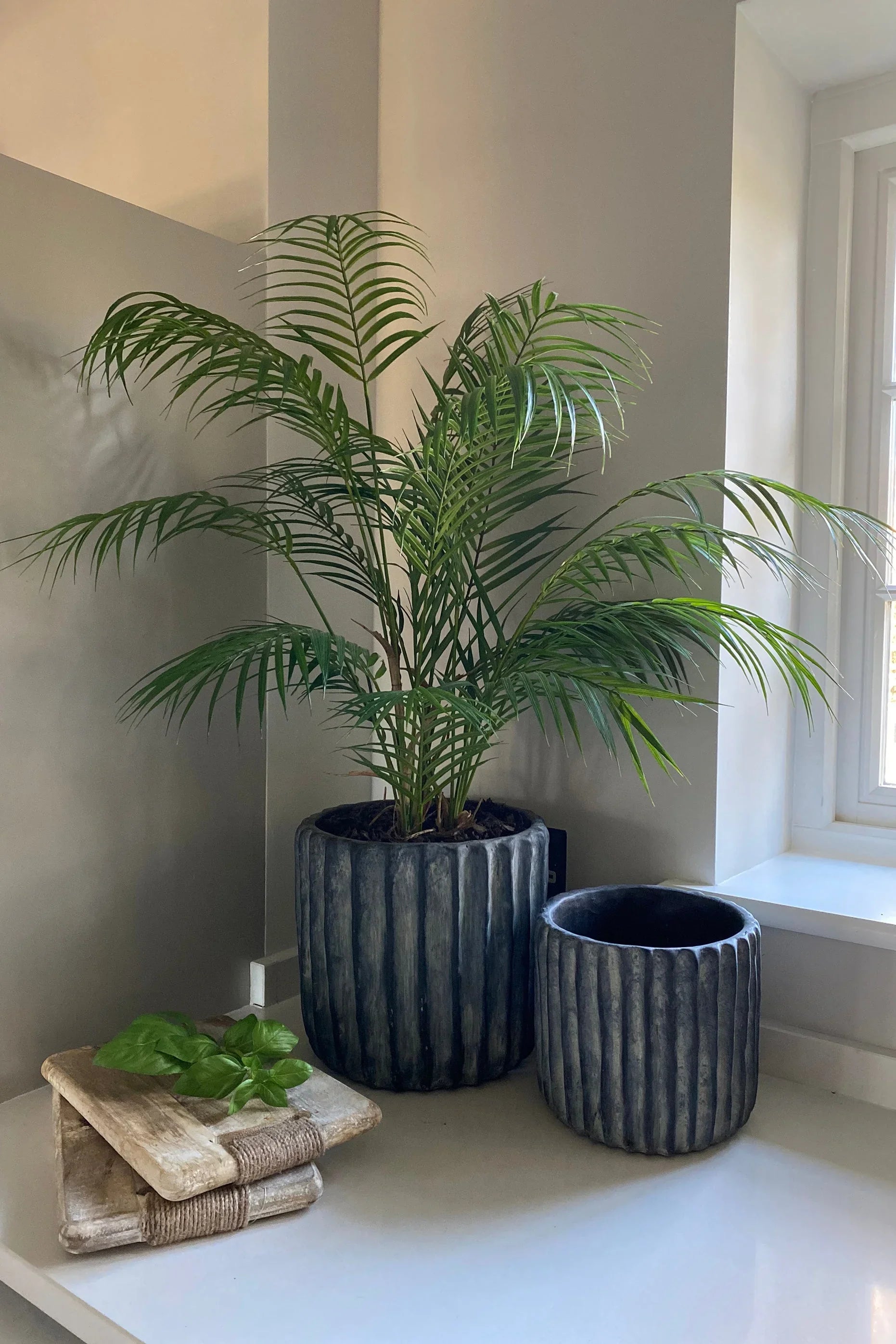 Artificial Areca Palm RTfact Flowers 
