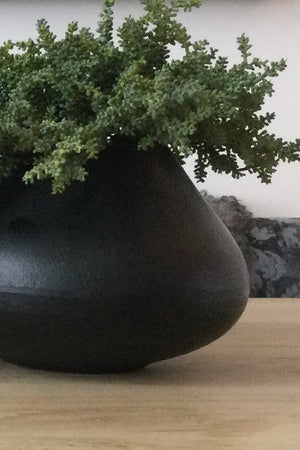 Mini Succulent in a Black Metal Vase
