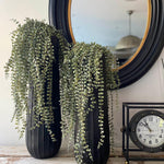 Hanging Succulents in Tall Black Metal Vases RTfact Flowers 