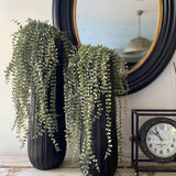 Hanging Succulents in Tall Black Metal Vases RTfact Flowers 